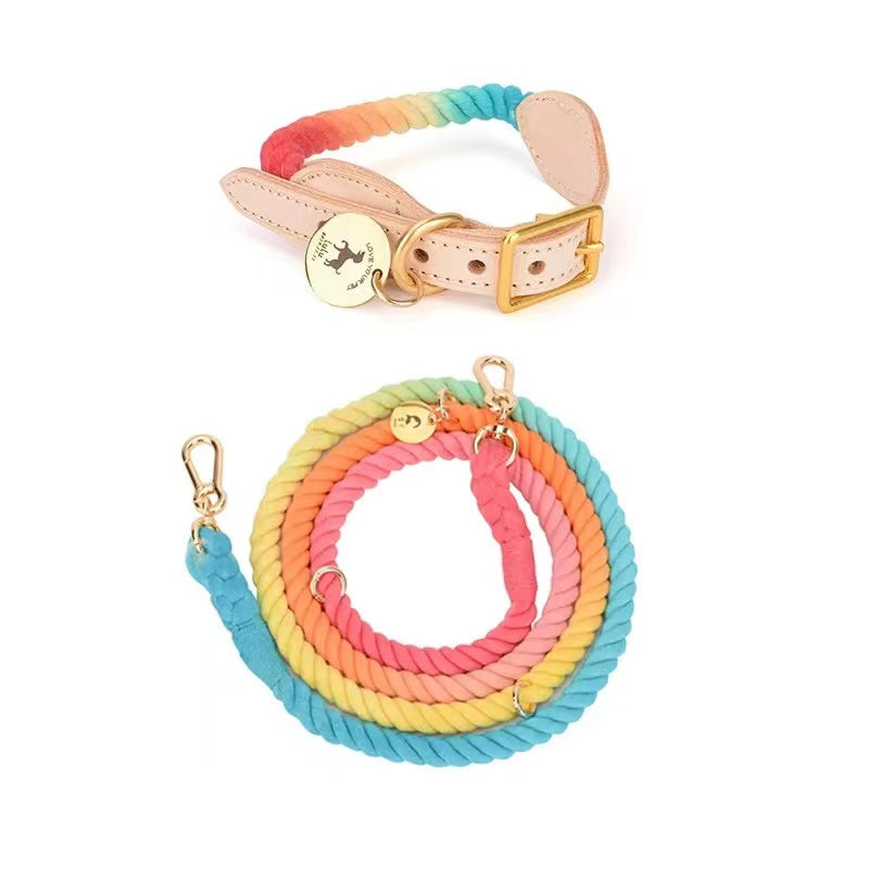 Hands Free Rope Leash and Luxe Royal Leather Collar Bundle - Classic Rainbow