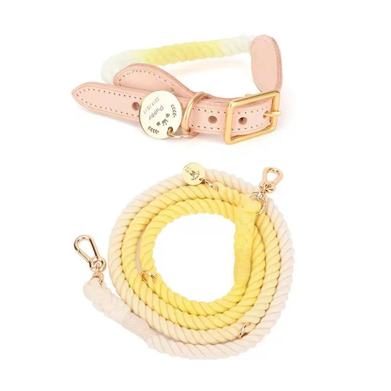 Hands Free Rope Leash and Luxe Royal Leather Collar Bundle - Lemon Squeeze