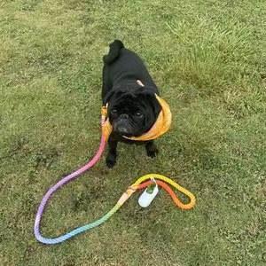 Luxe Royal Leather Rope Leash and Collar Set - Cotton Coral