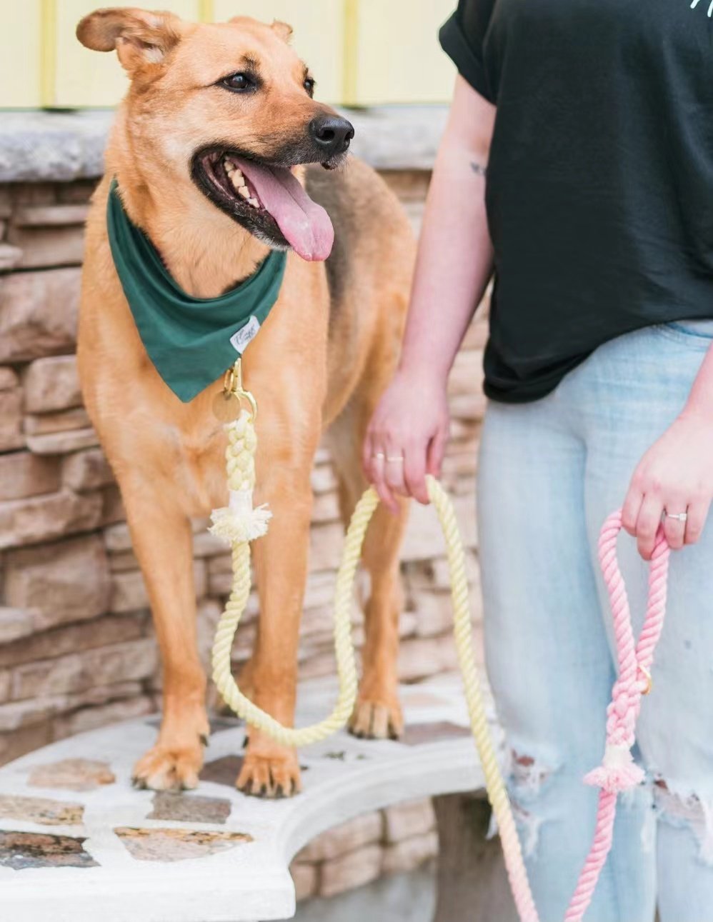 Dog Rope Leash - Golden Silk