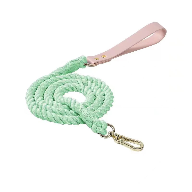 Luxe Royal Pink Leather Rope Leash - Dinosaur