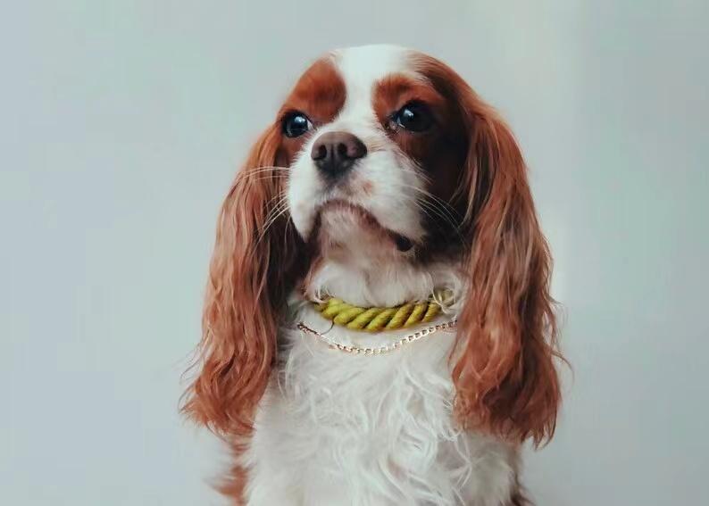 Luxe Royal Leather Rope Collar - Cotton Coral