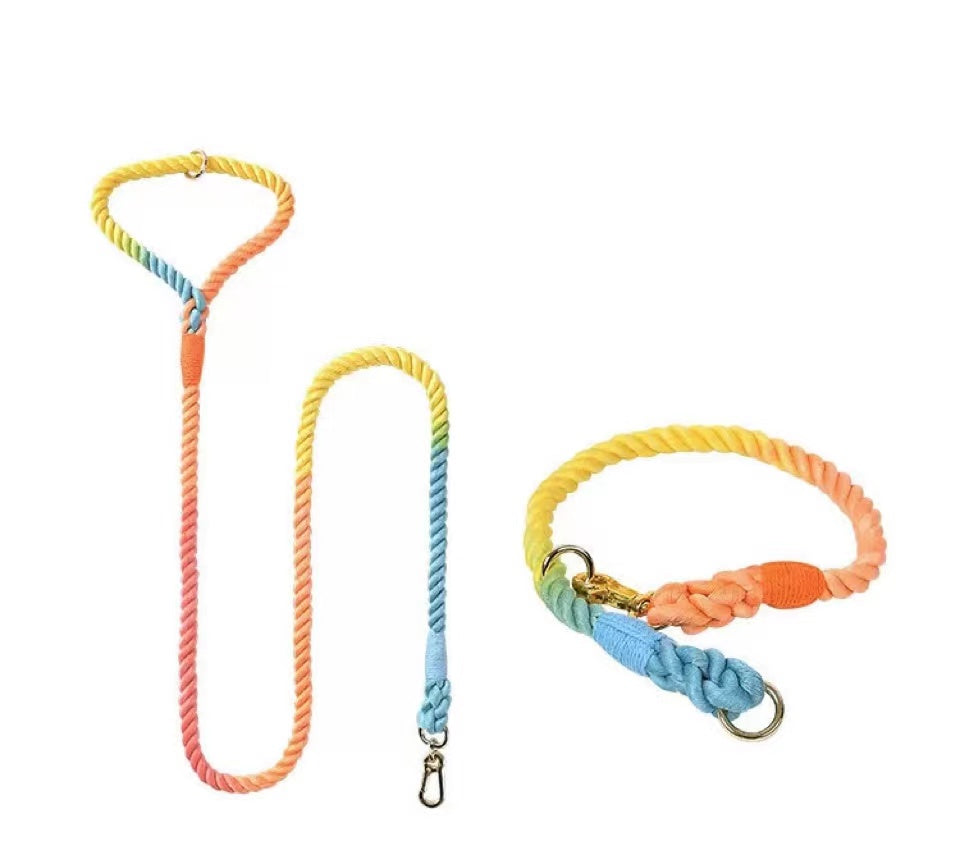 Dog Rope Leash and Collar Set - Classic Rainbow