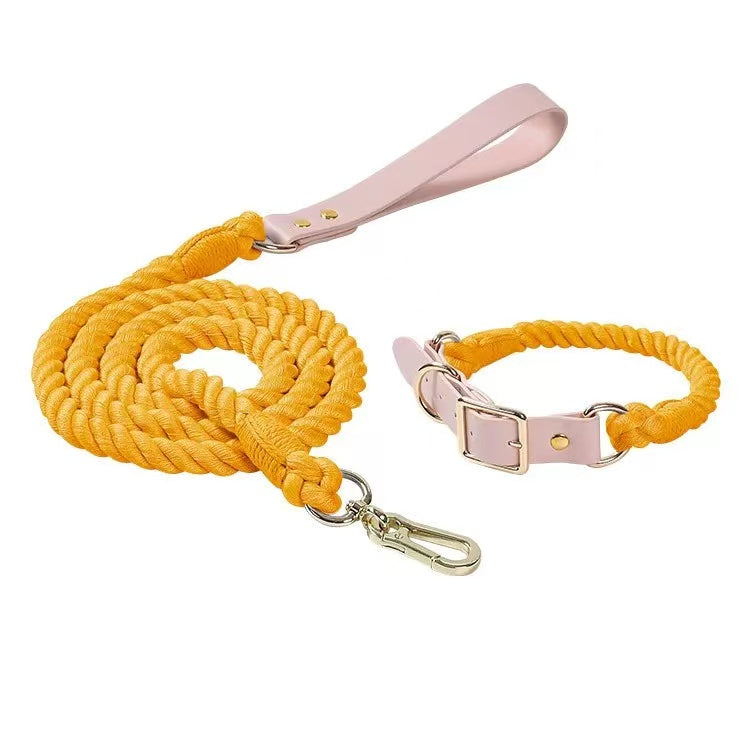 Luxe Royal Leather Rope Leash and Collar Set - Golden Garden