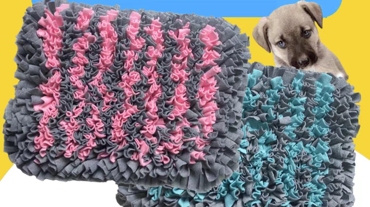 Pets Puzzle Toys Snuffle Mat - Pink and Light Blue