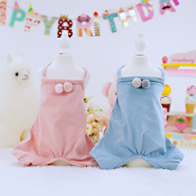 Birthday Party outfits for pets