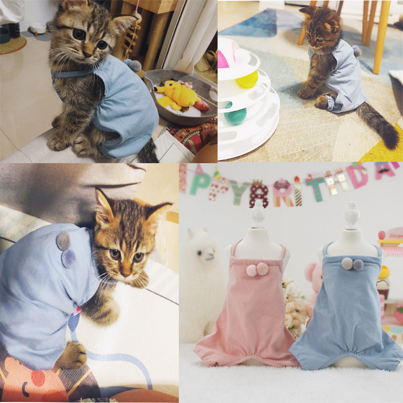 Birthday Party outfits for pets