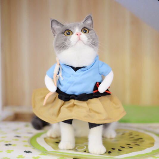 Cute Pet costumes