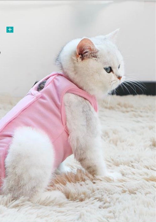 After spay surgery clothes for pet