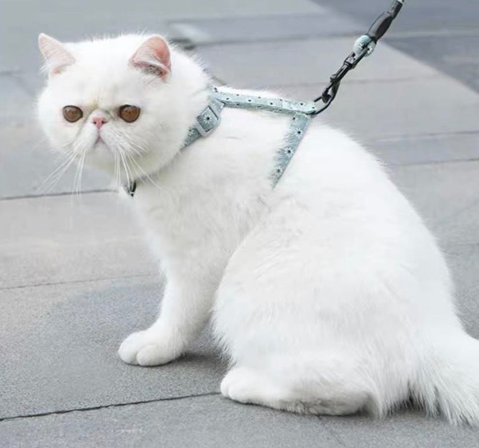 Japanese cat harness