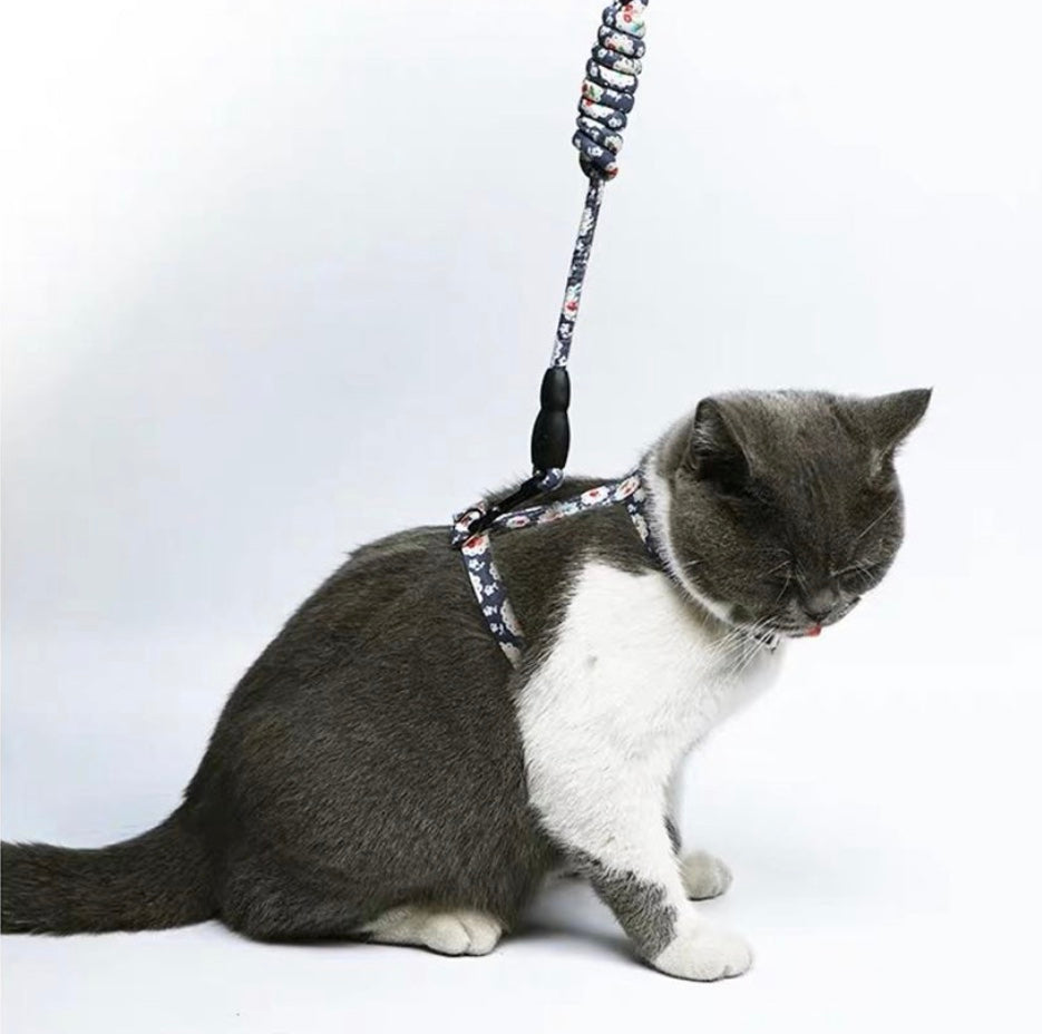 Japanese cat harness