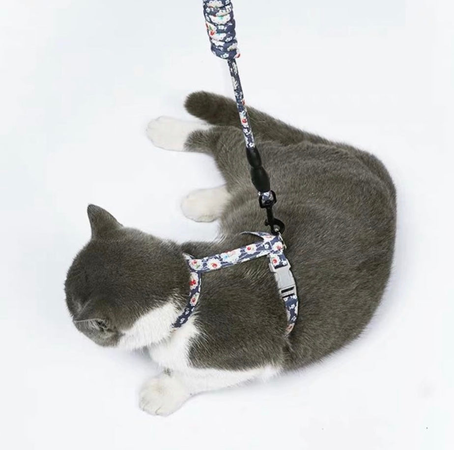 Japanese cat harness