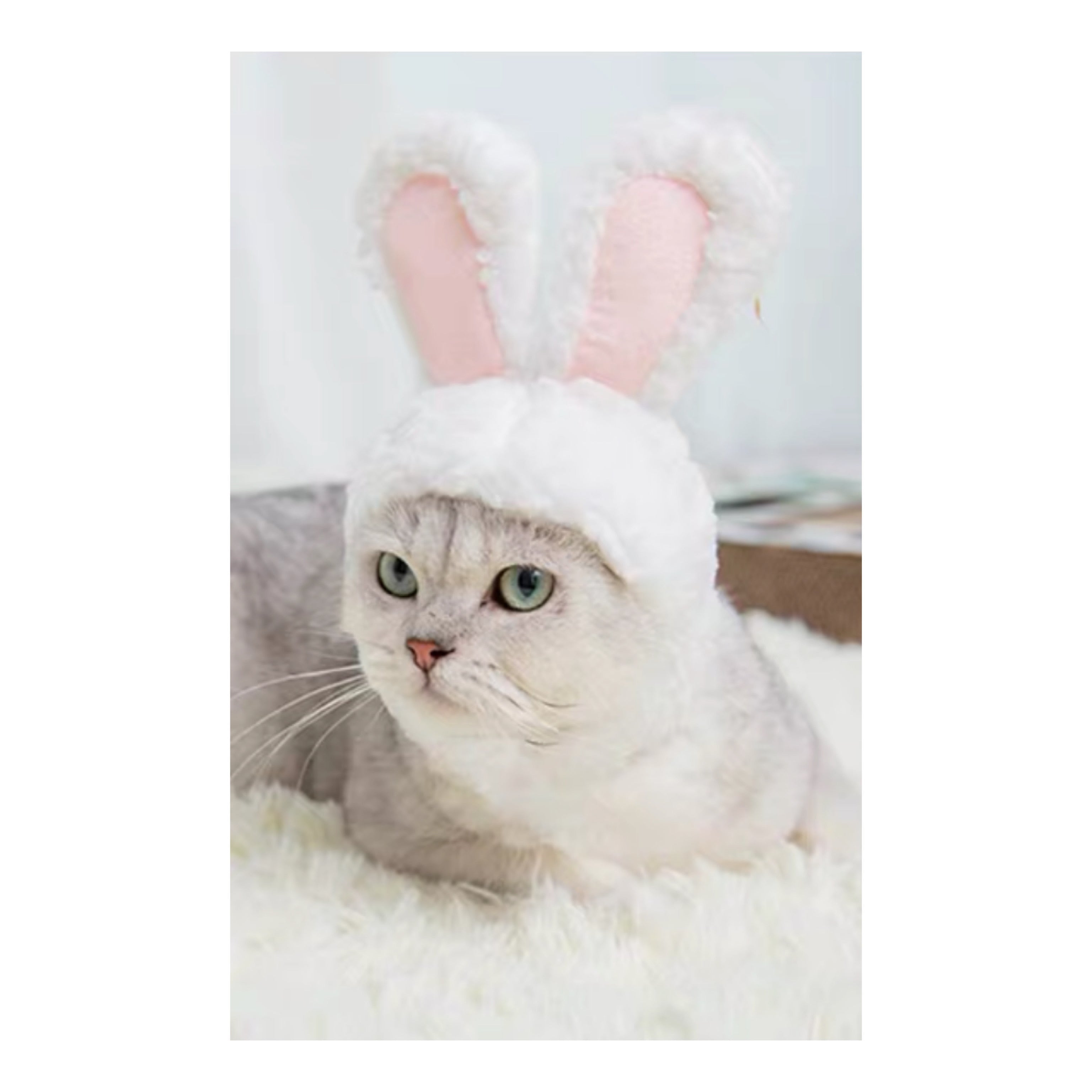 Bunny Bonnet For pets