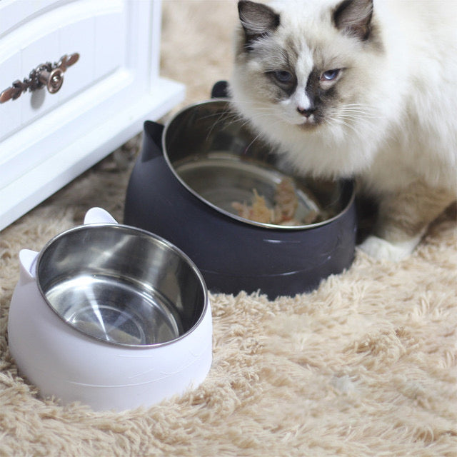 Pastel Cat Bowl