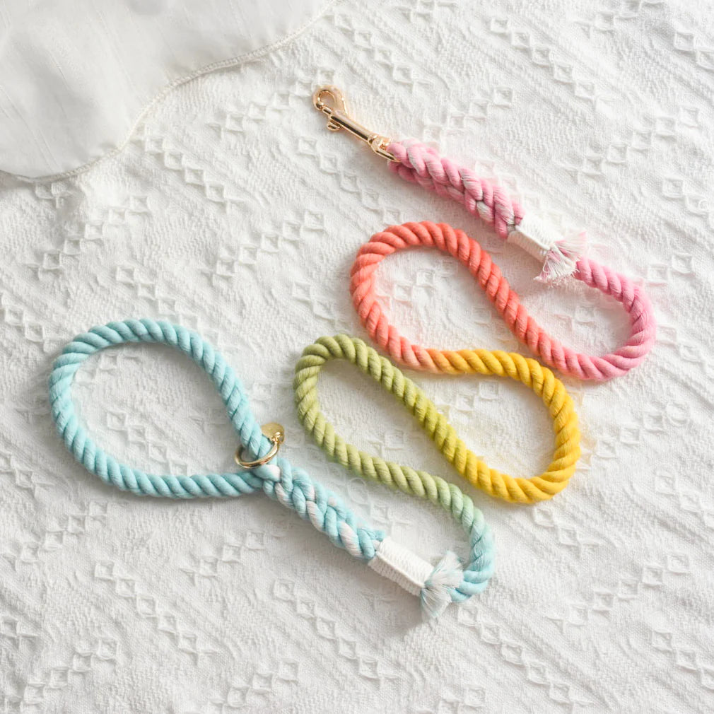 ROPE LEASH - SWEET LOLLIE