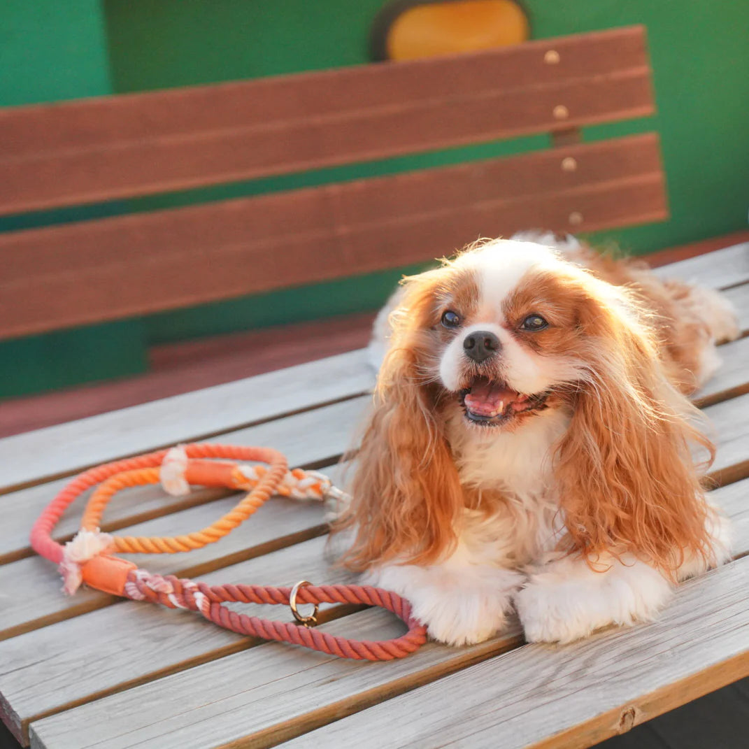 ROPE LEASH - MAPLE