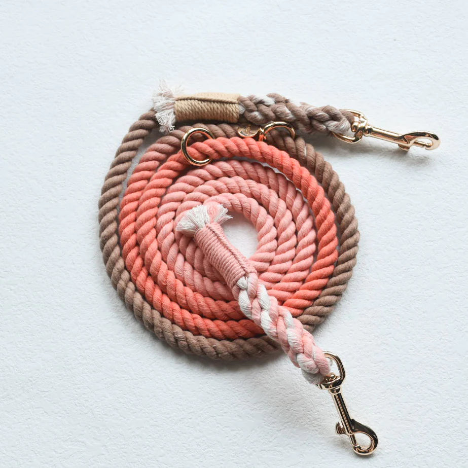 HANDS FREE DOG ROPE LEASH - PEACH AND BROWN