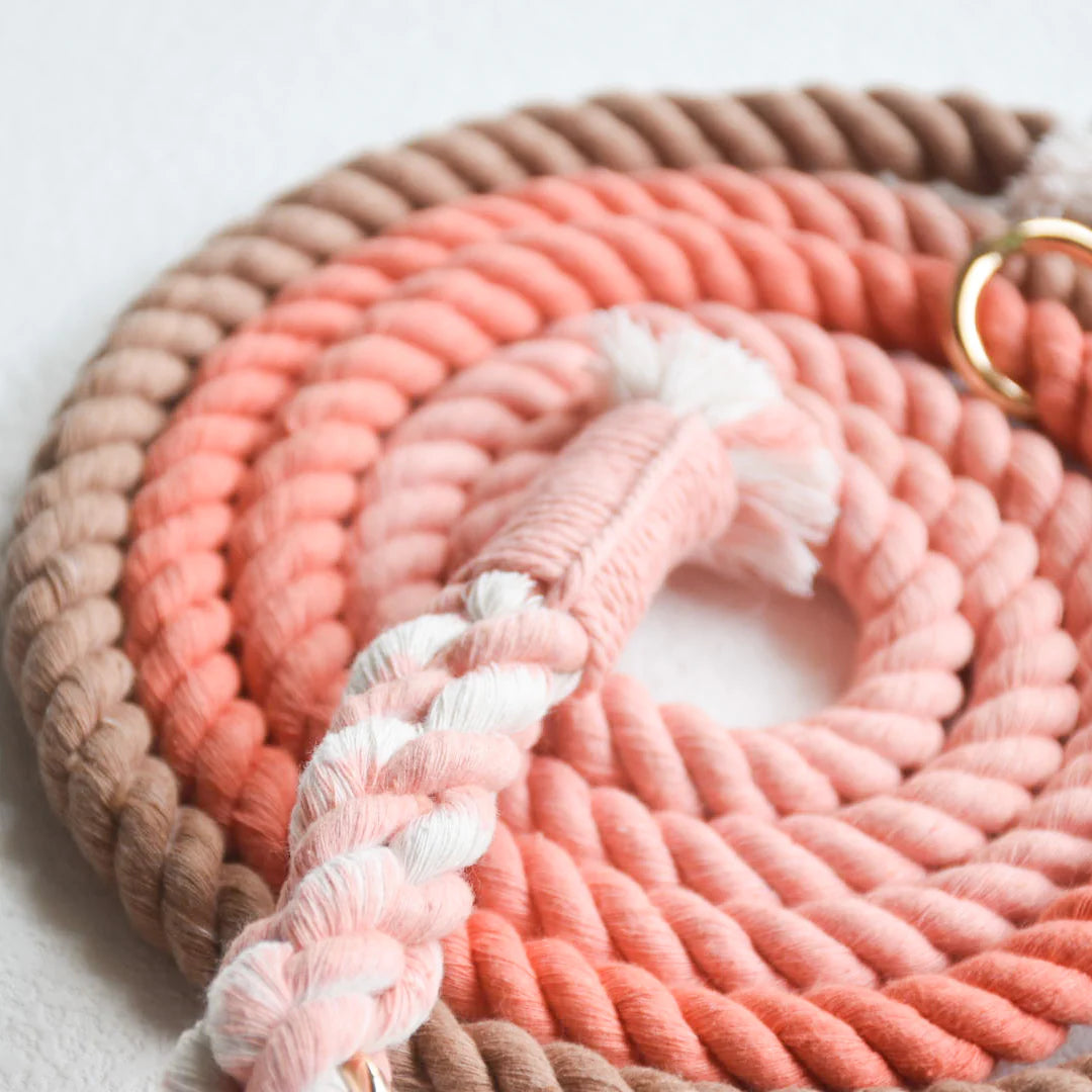 HANDS FREE DOG ROPE LEASH - PEACH AND BROWN