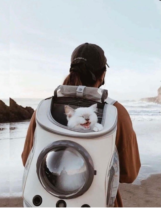 Cats and Dogs Backpack