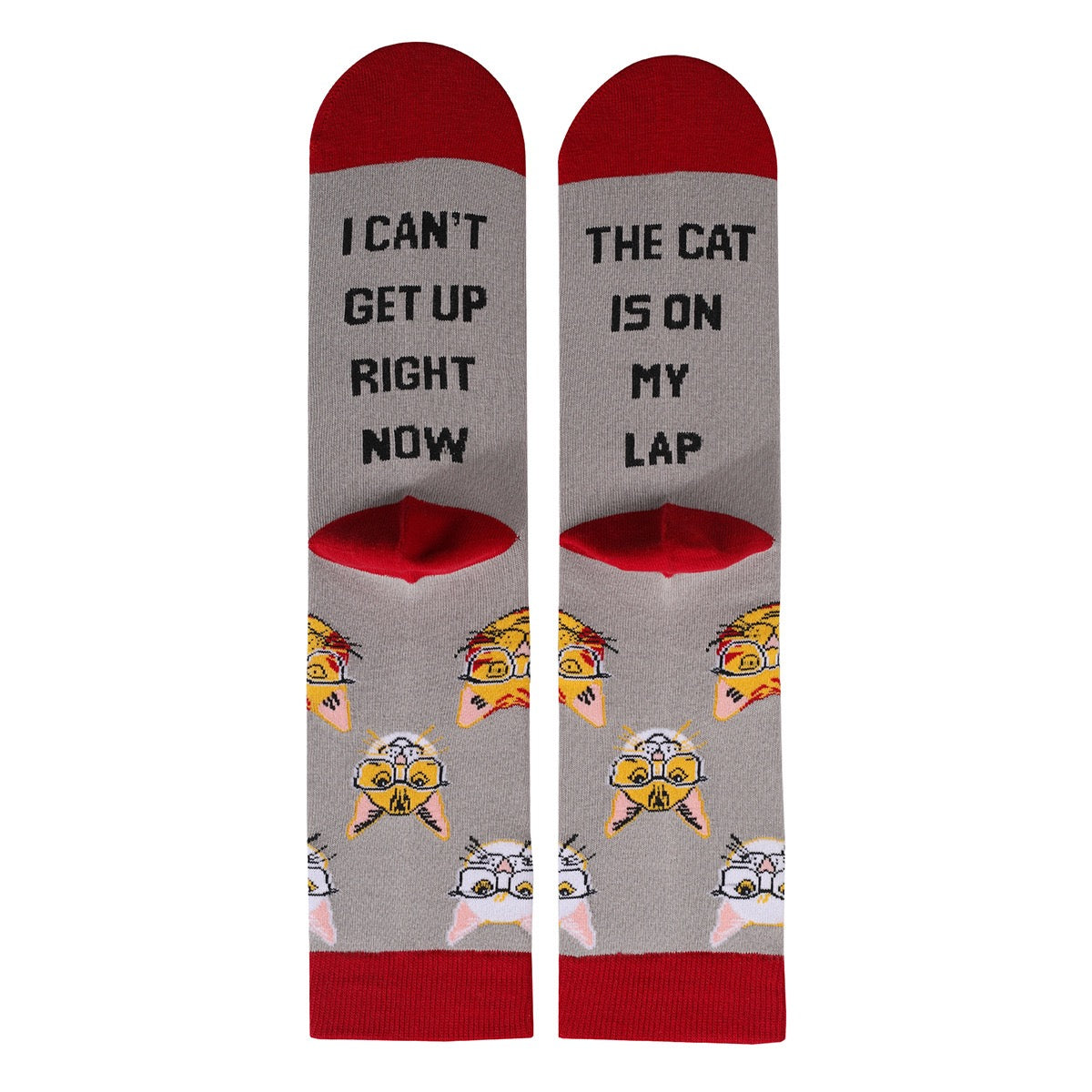 Pawsome Socks #5