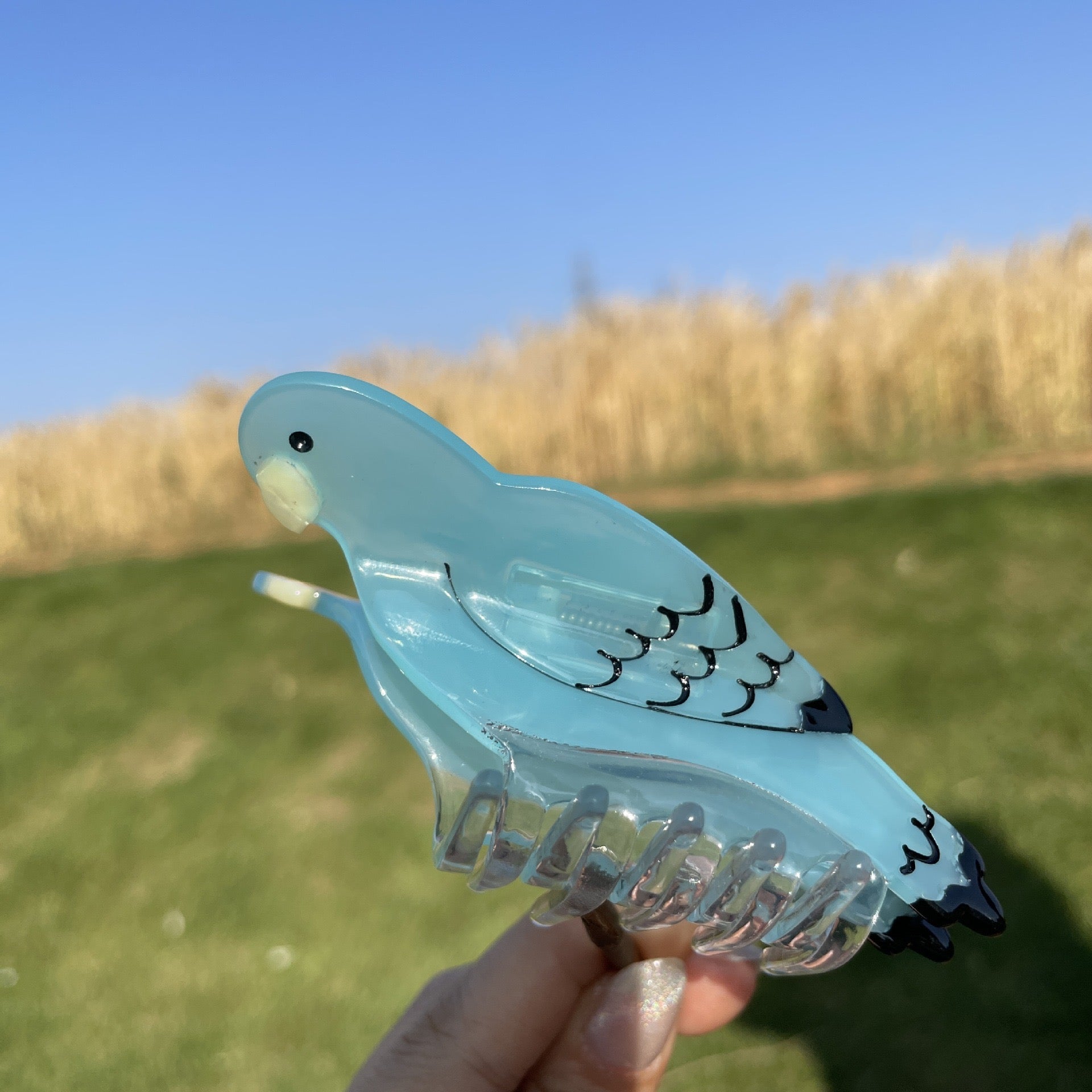 PAWSOME PETS NEW YORK Hand-painted BIRDS Claw Hair Clip #4 | Eco-Friendly