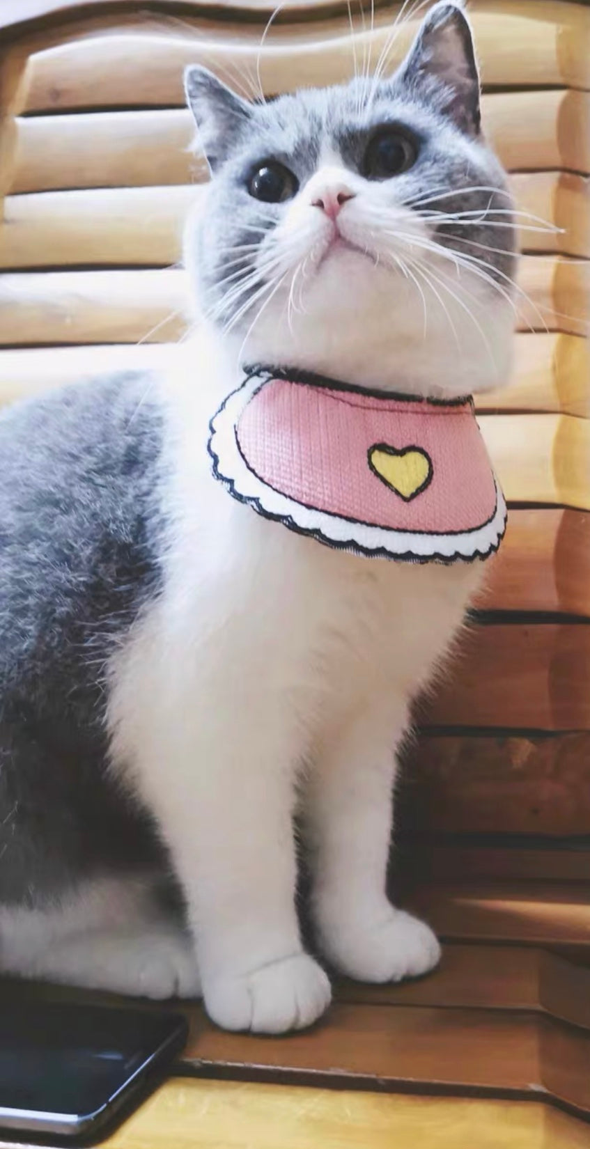 Love Pink Bibs for pets