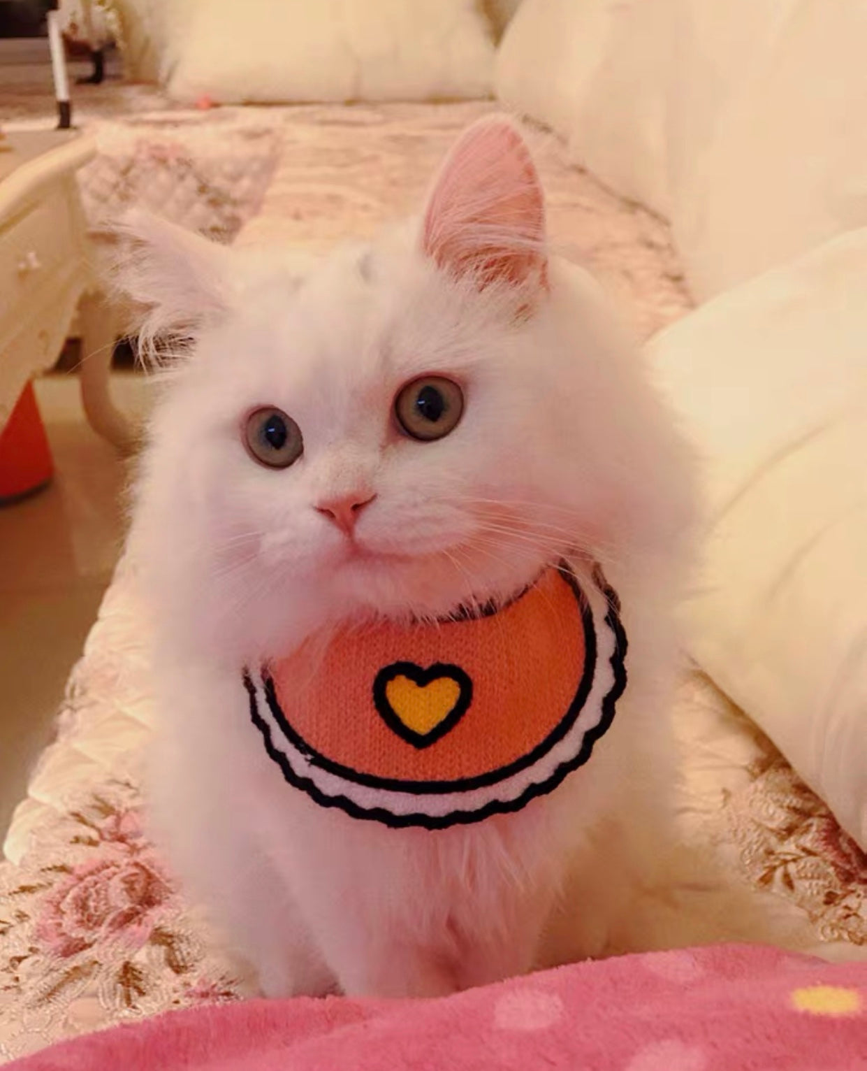 Love Pink Bibs for pets