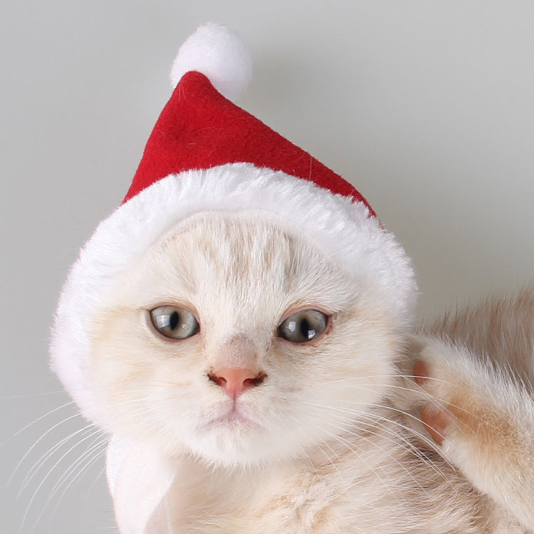 Elf Hat and Christmas Scarf