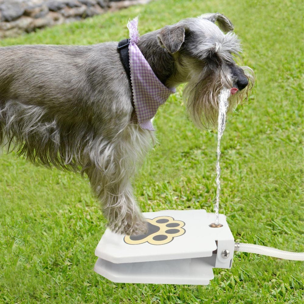 Pets Water Fountain Dogs Training Tool