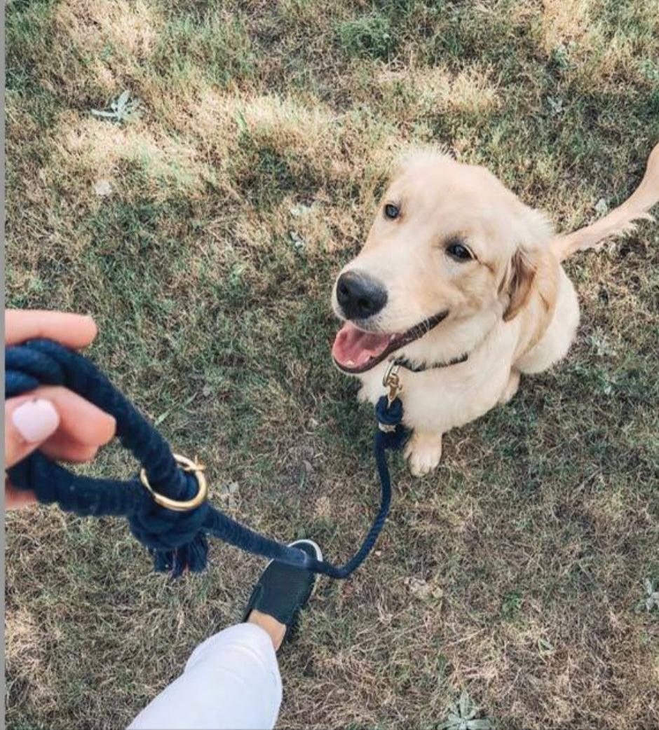 ROPE LEASH - EMERALD - Pawsomepetsnewyork