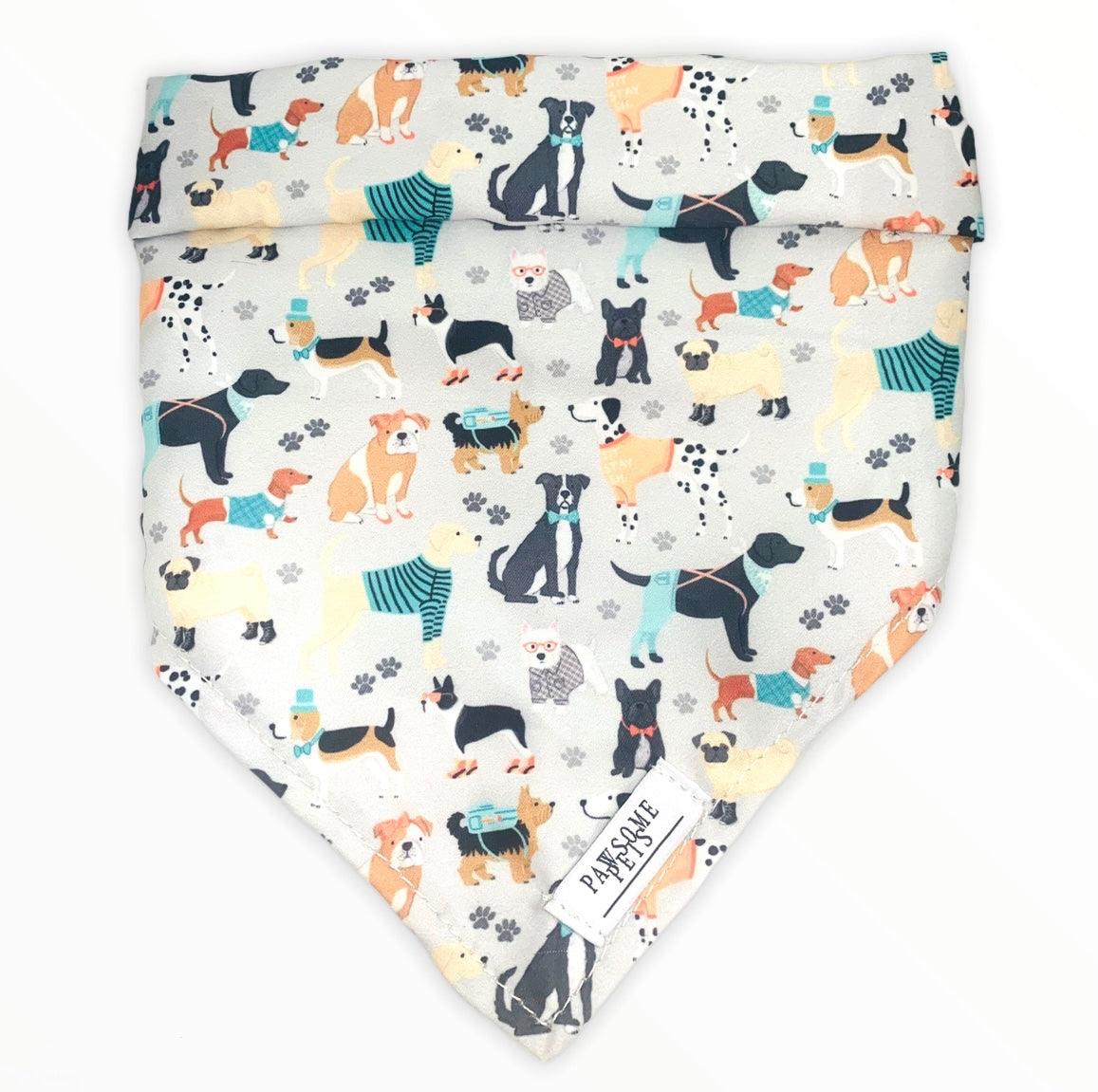 BANDANA - DAPPER DOGGY - Pawsomepetsnewyork