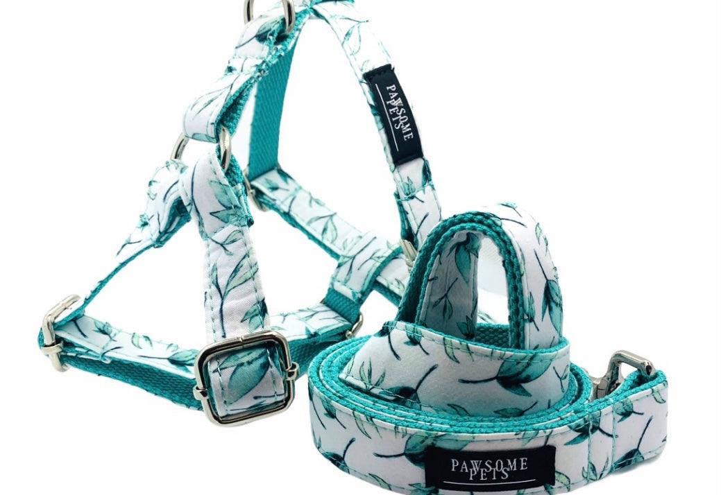 STEP IN HARNESS - MINT LEAF - Pawsomepetsnewyork