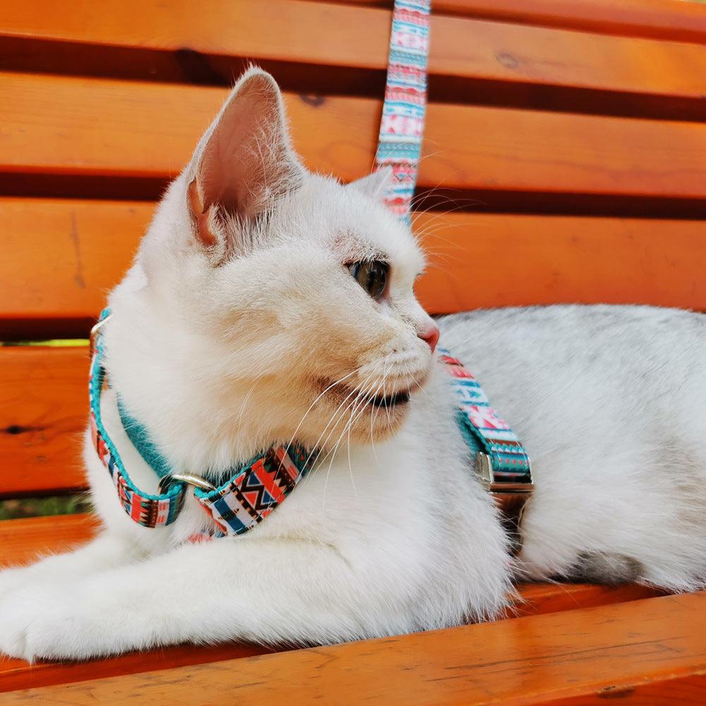 STEP IN BUNDLE - TROPICAL (2 PIECES) - Pawsomepetsnewyork