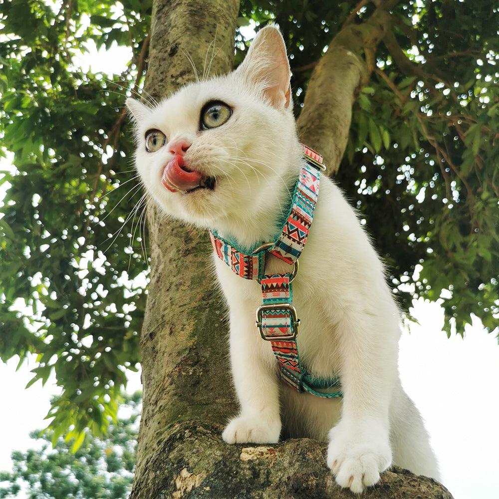STEP IN BUNDLE - TROPICAL (2 PIECES) - Pawsomepetsnewyork