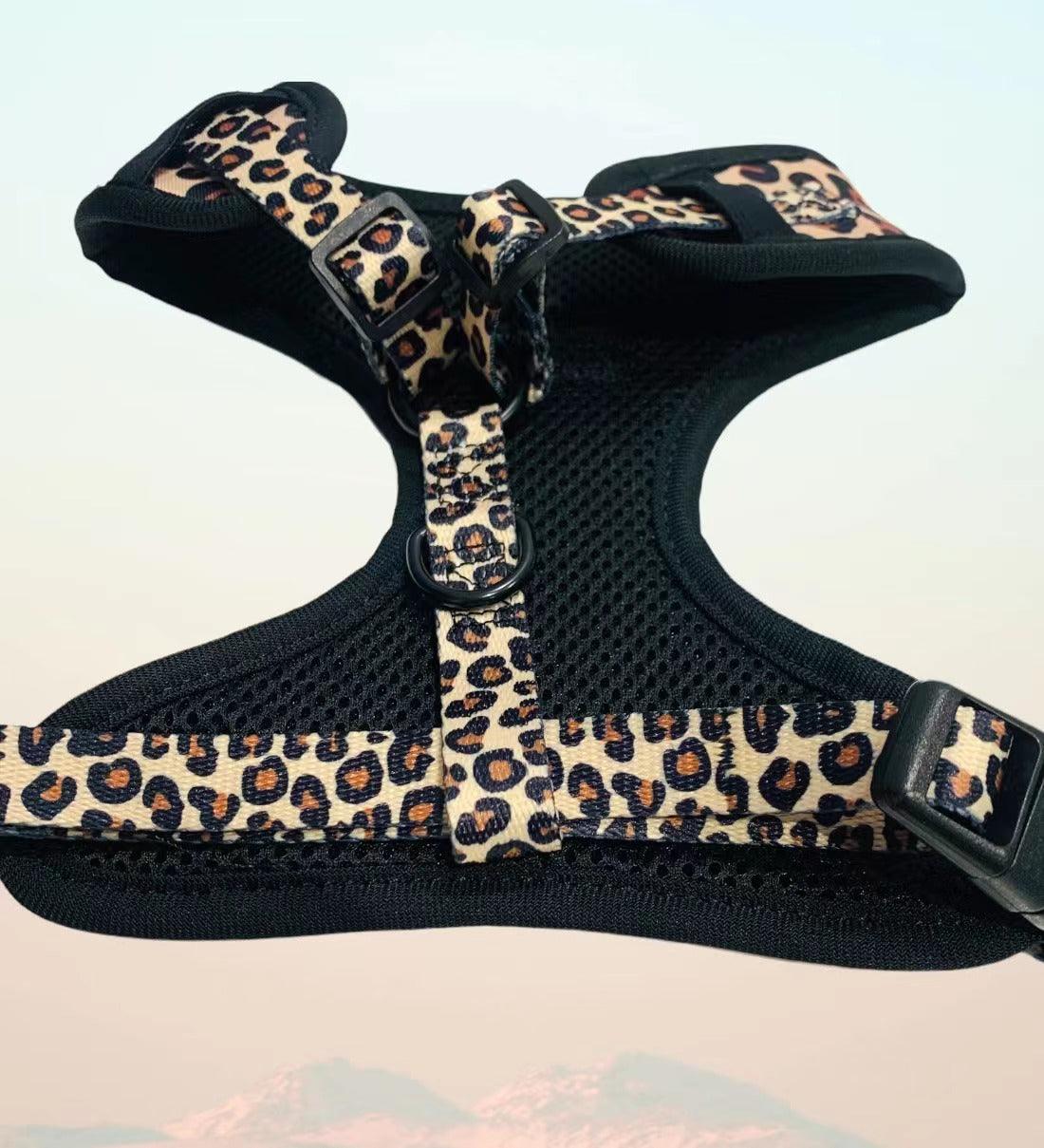 BUNDLE - LEOPARD (3 PIECES) - Pawsomepetsnewyork