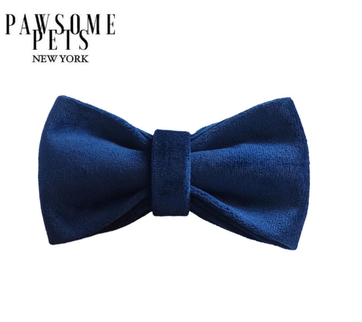 BOWTIE - BLUE TO BE WILD - Pawsomepetsnewyork