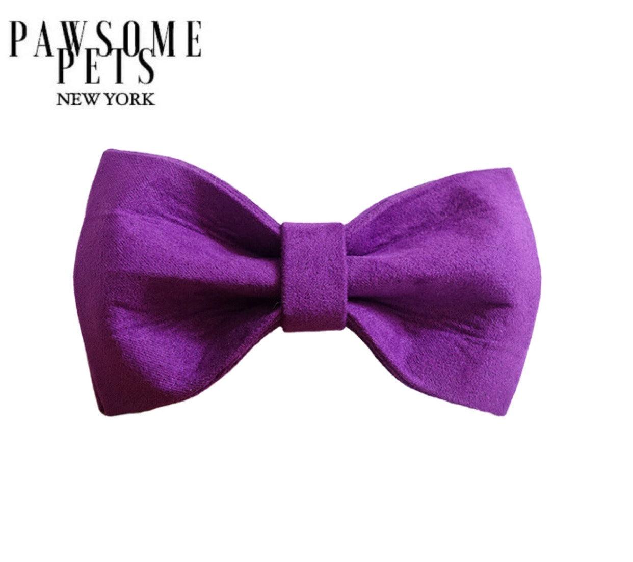 BOWTIE - PURPLE LOVE - Pawsomepetsnewyork