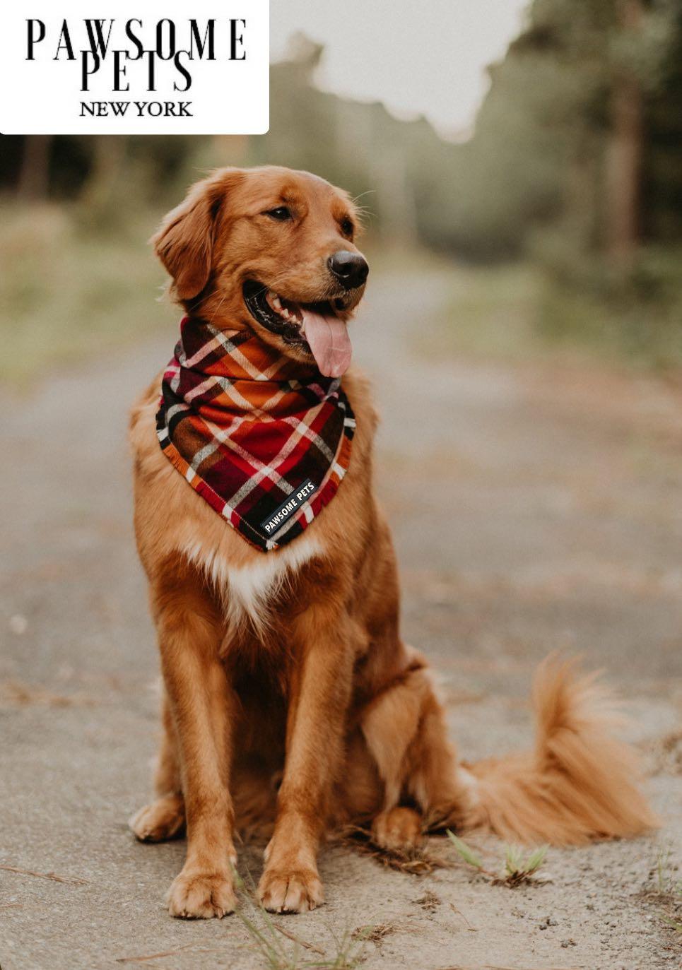 BANDANA - HARVEST - Pawsomepetsnewyork