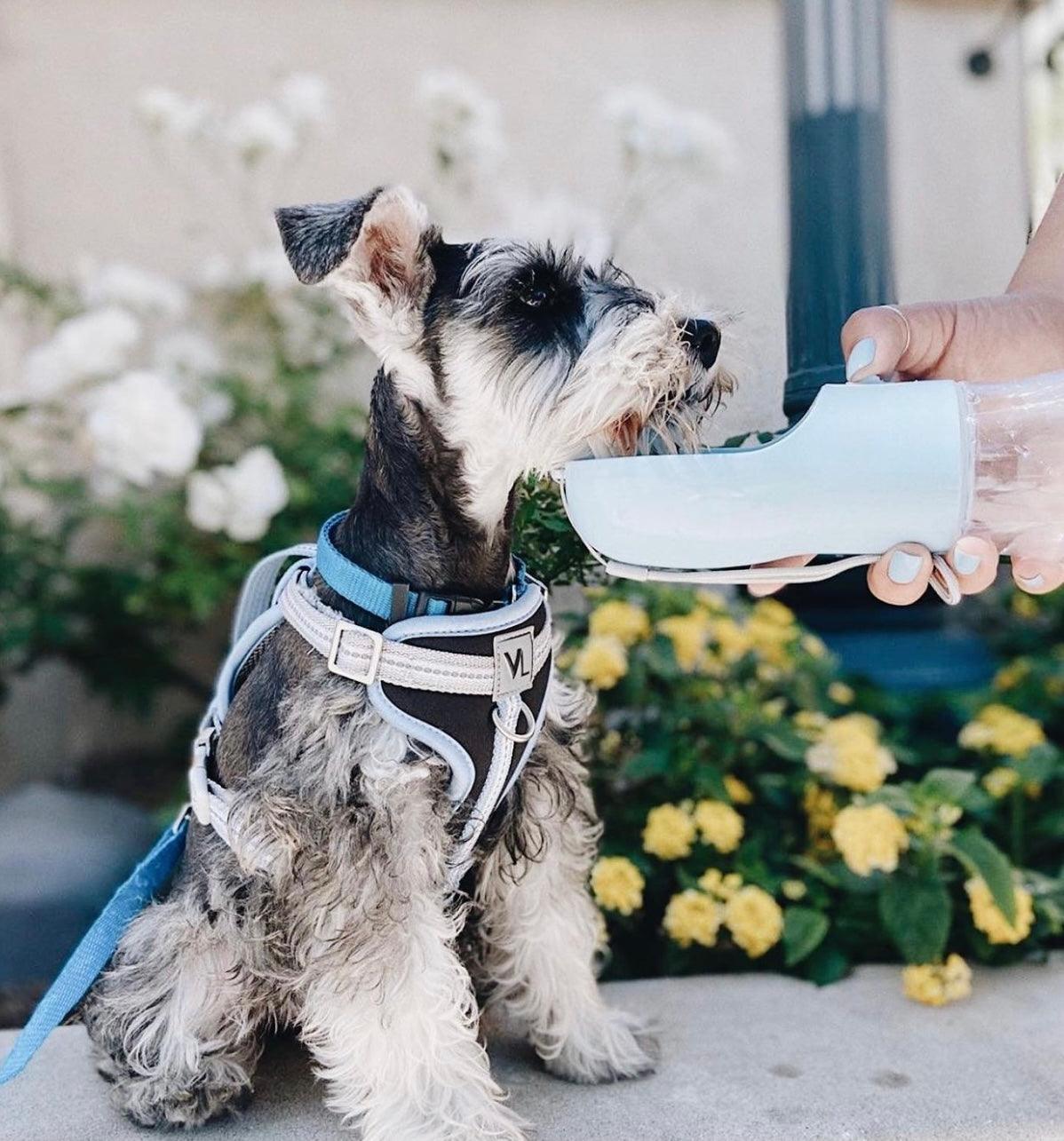 2 IN 1 PORTABLE PET FEEDER - LIGHT GREY - Pawsomepetsnewyork