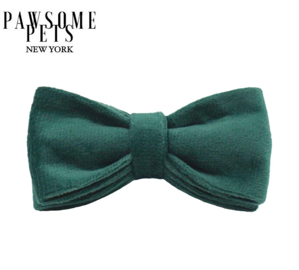 BOWTIE - VIRIDIAN - Pawsomepetsnewyork