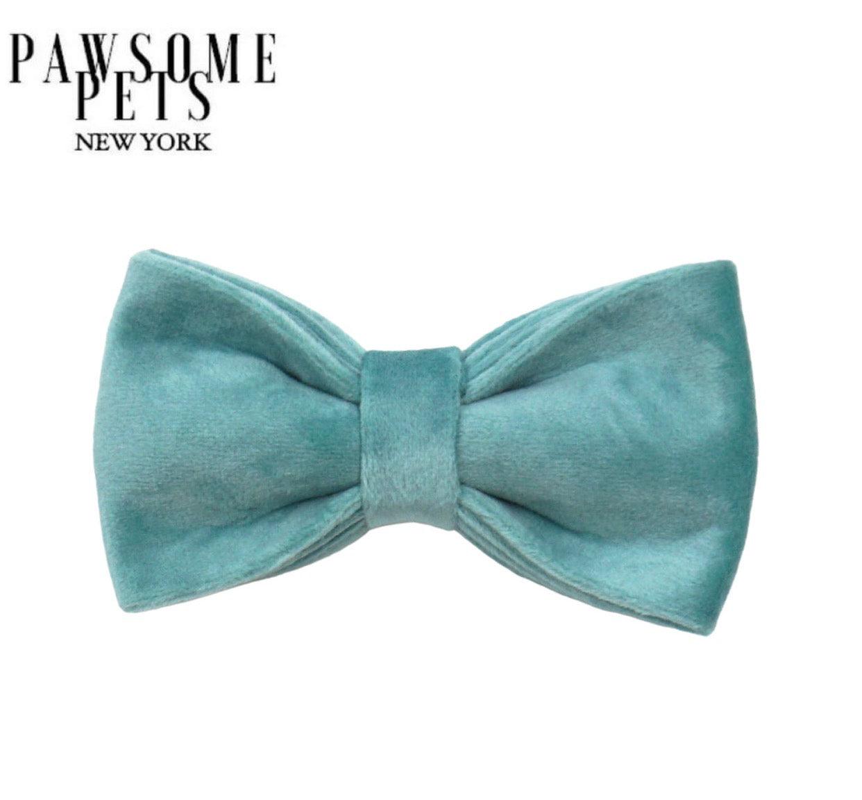 BOWTIE - RIVER BLUE - Pawsomepetsnewyork