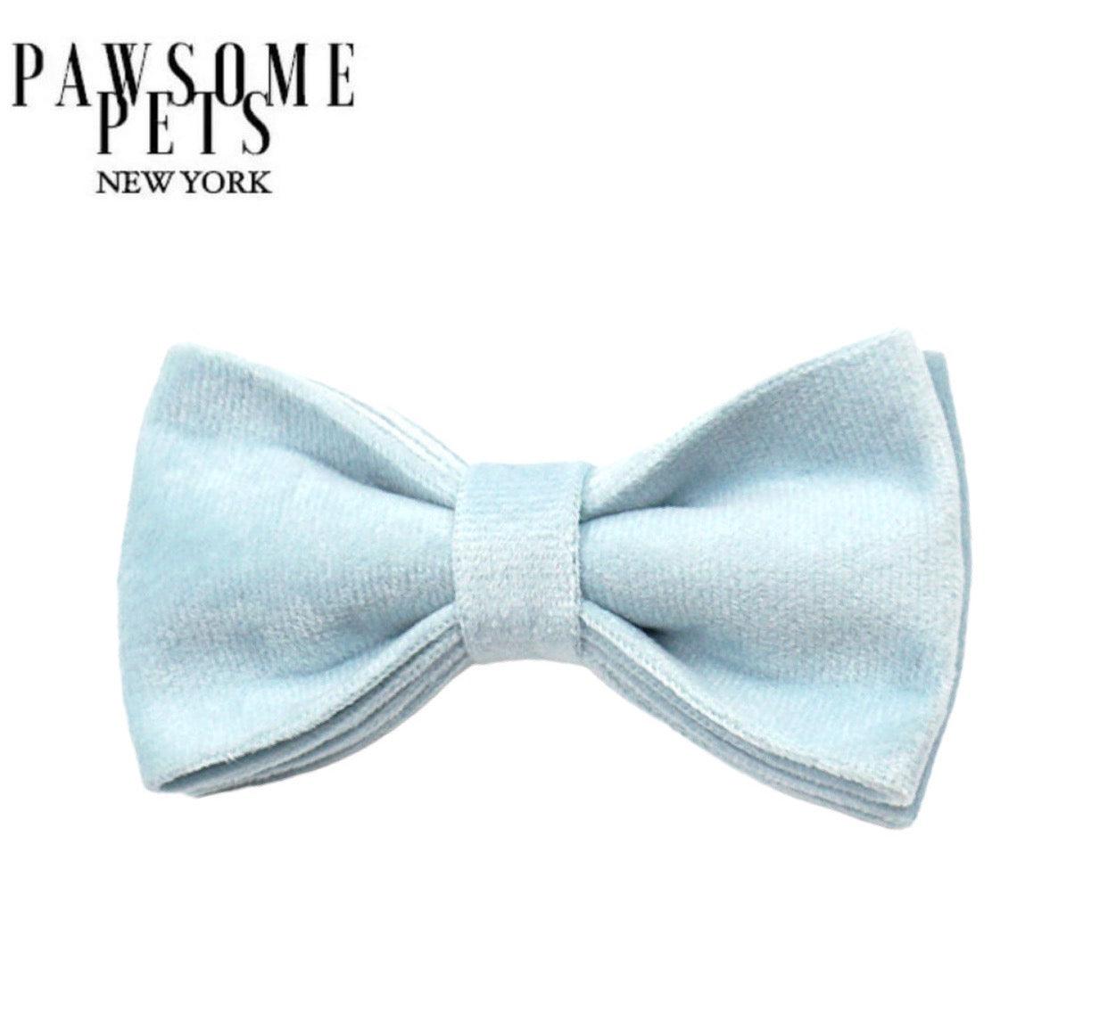 BOWTIE - ICE BLUE - Pawsomepetsnewyork