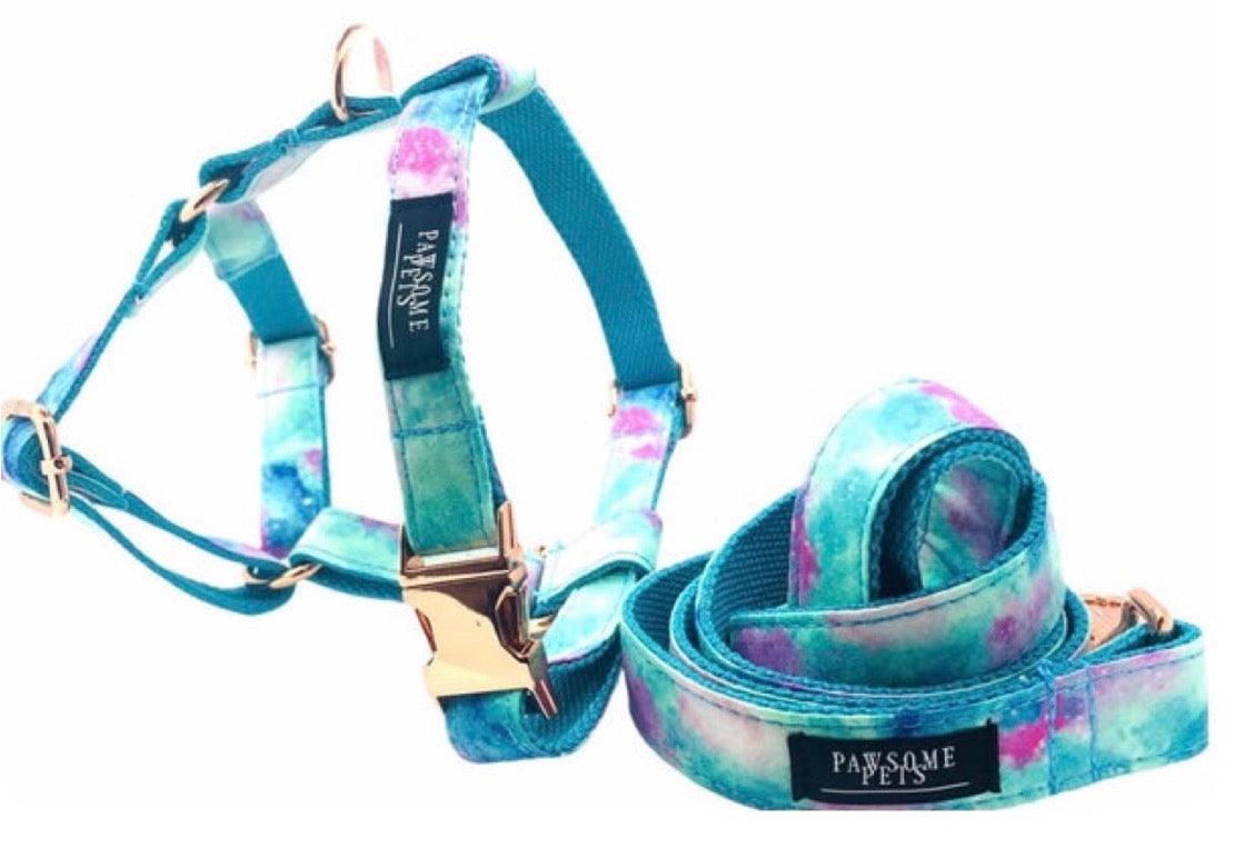 STEP IN BUNDLE - SKY (2 PIECES) - Pawsomepetsnewyork