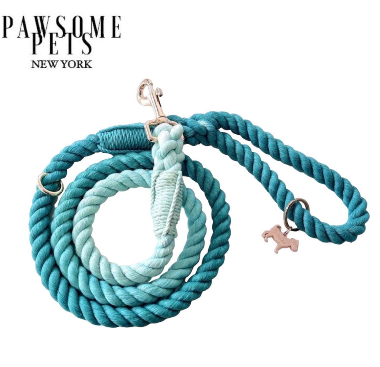 ROPE LEASH - OMBRE OCEAN