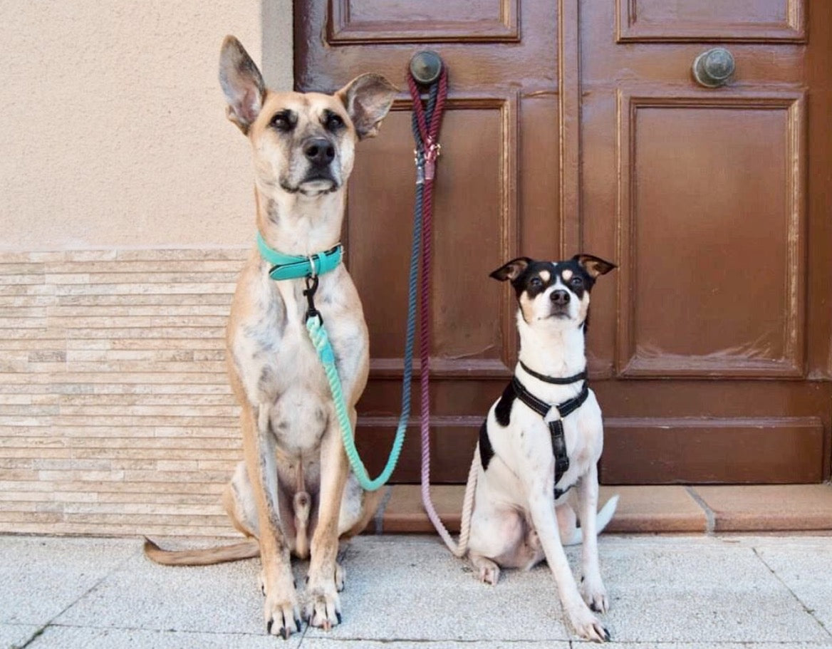 ROPE LEASH - OMBRE LIGHT BROWN